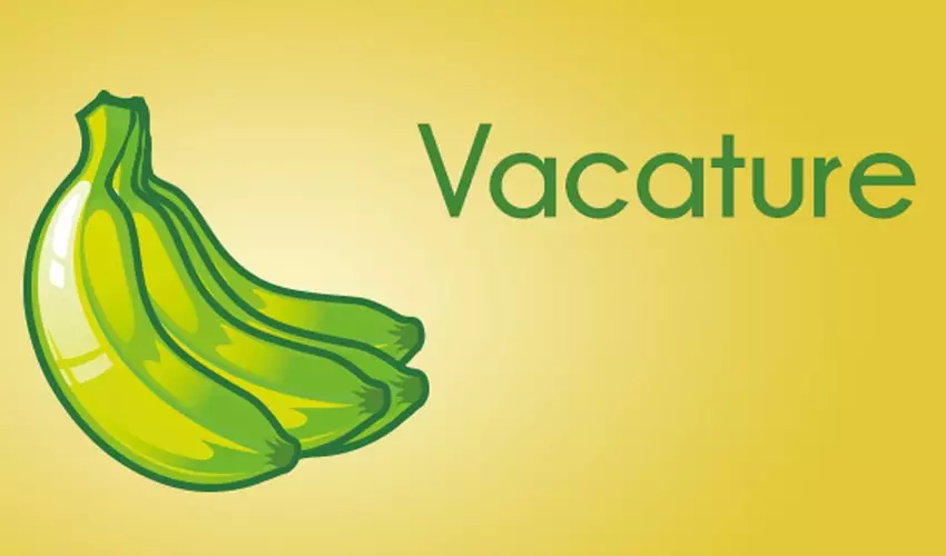 vacature-green-bananas