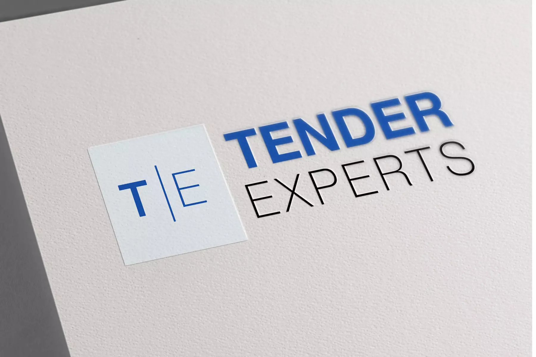 Logo Tender Experts